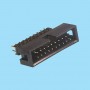 5543 / Conector macho recto polarizado doble cuerpo - Paso 2,54 x 2,54 mm